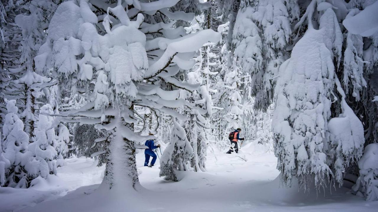 Gite Amélie, Sauna, Spa au coeur des Vosges Housseras Exterior foto
